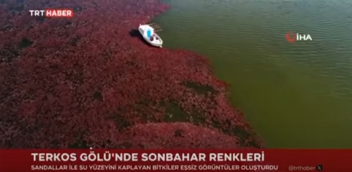 Masalsı Bir Manzara! Renk Cümbüşü İçinde Muhteşem Sandallar